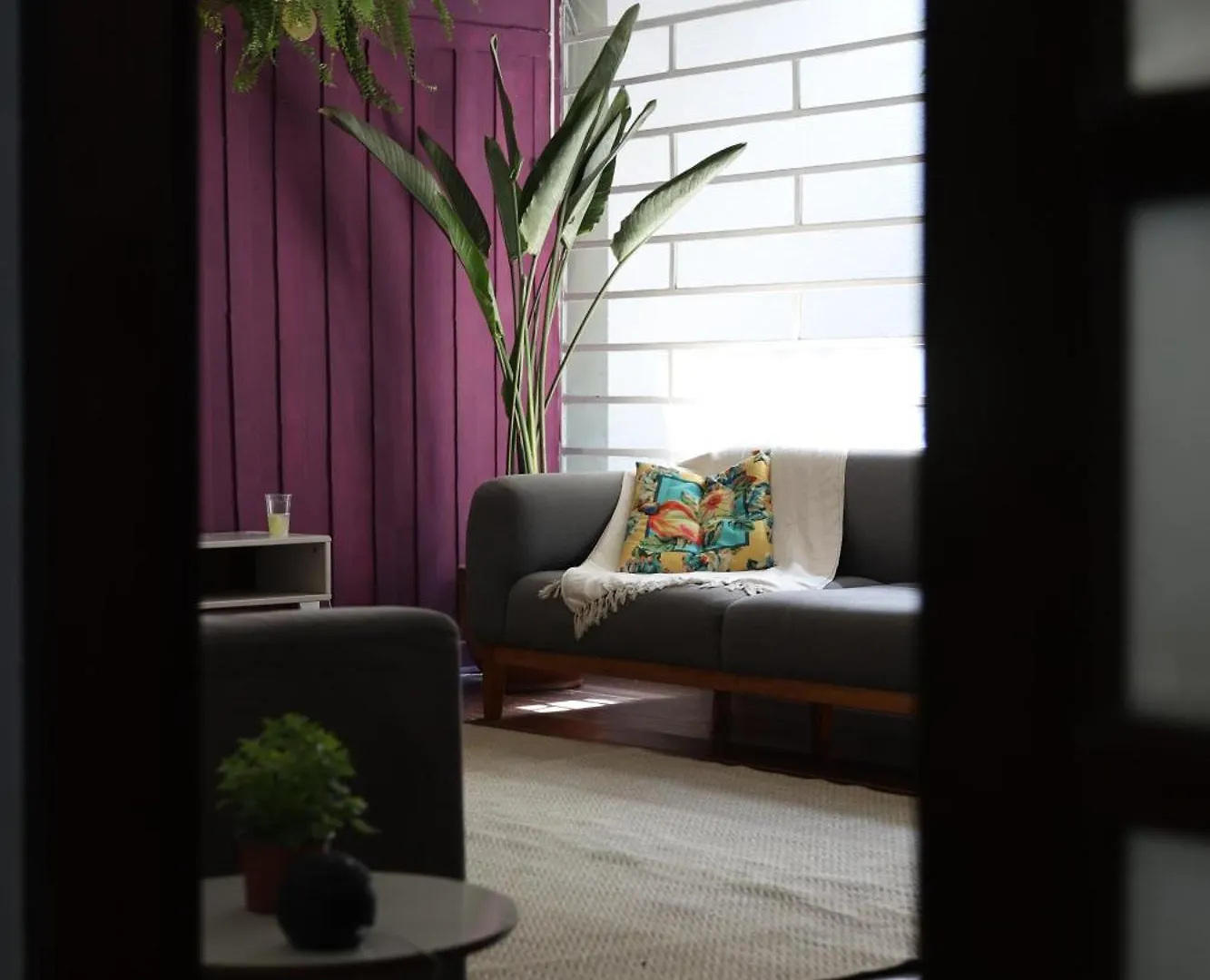 Anama Coliving Apartment Sao Paulo Homestay